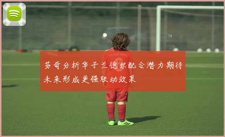 芬奇分析华子兰德尔配合潜力期待未来形成更强联动效果
